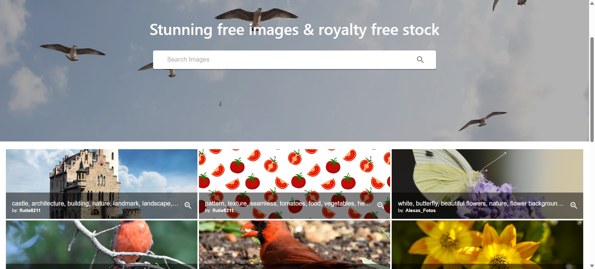 Image Finder